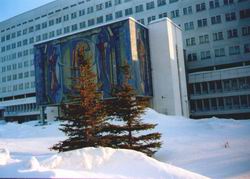 Main Building of the Siberian Branch of the Russian Academy for Medical Sciences (“Medical Academy”)